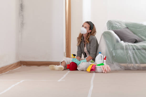 Reliable Mold Cleanup contractor in Decatur, GA by WQB Mold Removal